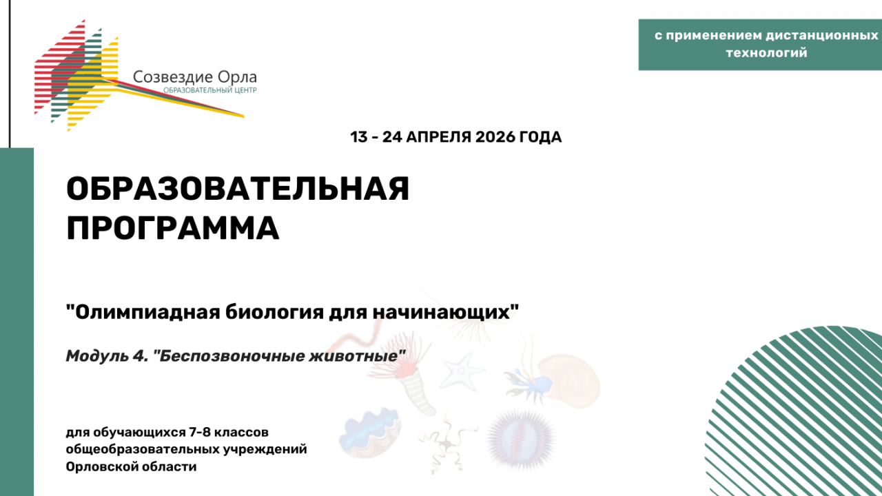 Образовательная программа «Олимпиадная биология для начинающих. Модуль 4. «Беспозвоночные животные»