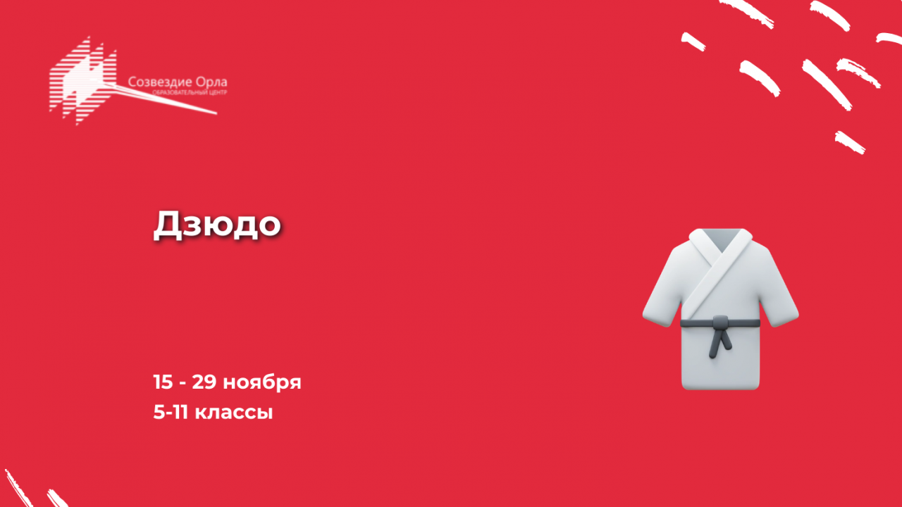 Образовательная программа «Дзюдо»